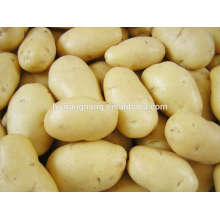 2014 neue Ernte Kartoffel mit langer Form, runde Form